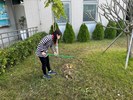 落葉清掃 (另開新視窗)