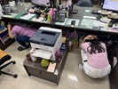115年國家防災日 同仁自主演練 (另開新視窗)